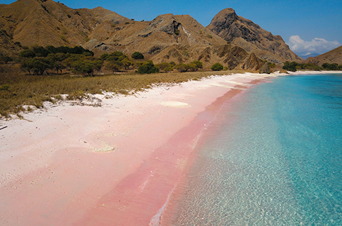 pink-beach-seashore