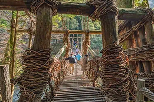 bridge-in-tokujima-iya-valley-japa