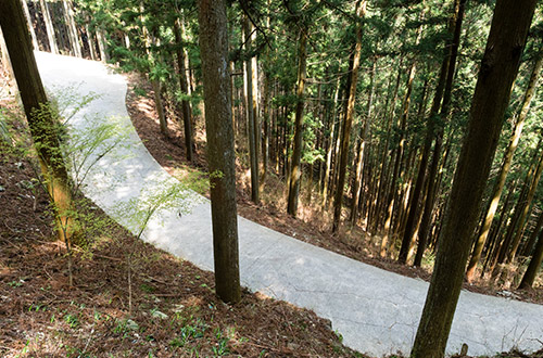 shoshanji-temple-road-shikoku-pilgrimage-japan