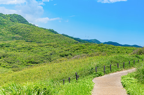 cape-aiai-izu-peninsula-shizuoka-japan