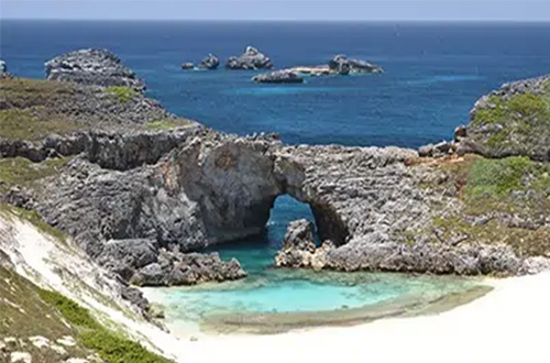 ogasawara-islands-clear-beach