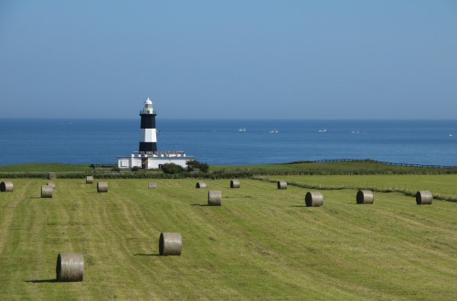 Cape-Notoro