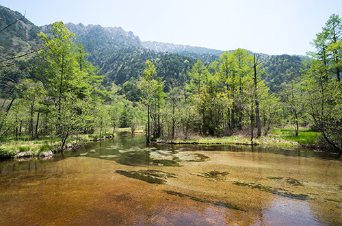 tashiro-pond-nagano-japan