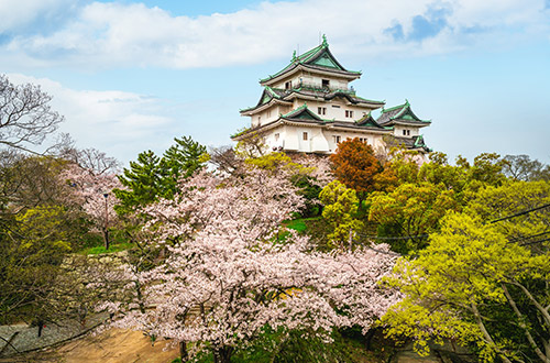 wakayama-castle-wakayama-japan