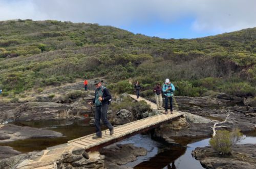 south-australia-kangaroo-island-wilderness-trail-snake-lagoon-walk-hike-coastal-bushland-creeks