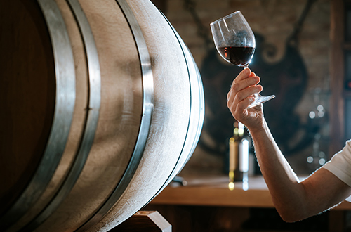 wine-tasting-cellar