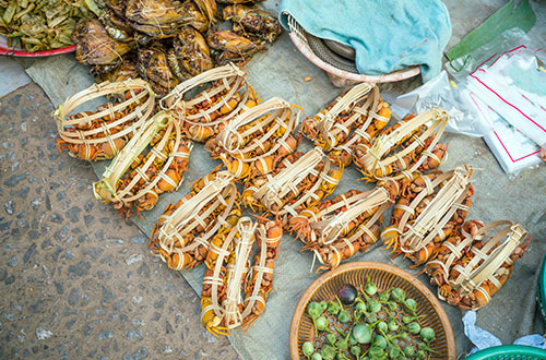 morning-market-luang-prabang-vientiane-laos-shutterstock583204120