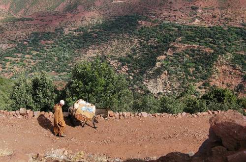 atlas-mountain--marrakech-morocco-man-donkey