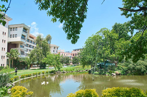 hotel-yak-and-yeti-exterior-garden