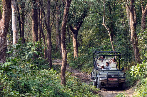 taj-meghauli-serai-safari