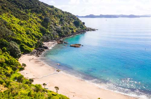 donkey-bay-inn-bay-of-islands-new-zealand-beach