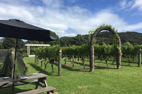 passage-rock-winery-new-zealand-waiheke-island