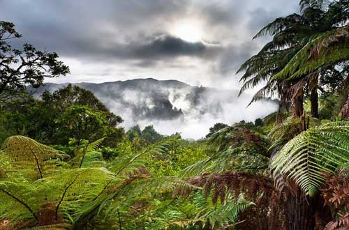 echo-crater-waimangu-rotorua-low-res