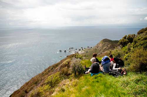 kapiti-new-zealand-lookout