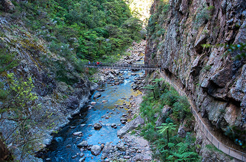 karangahake-gorge-coromandel-peninsula-bridge