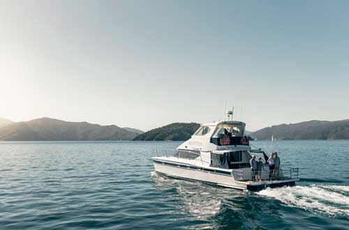 seafood-cruise-through-marlborough-sounds-new-zealand-(4)