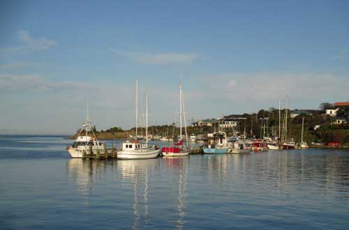 Riverton-Harbour-Southland,-New-Zealand-Credit-Great-South