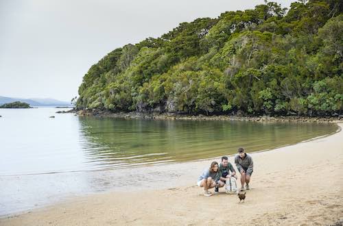 stewart-island-kiwi-beach-day