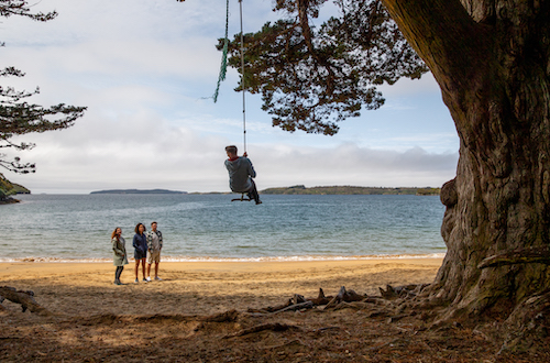 stewart-island-swing