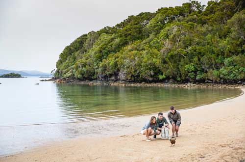 UlvaIsland-StewartIsland-new-zealand-kiwi