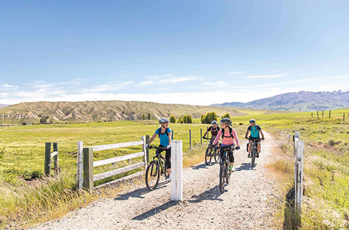 cycling-guided-group