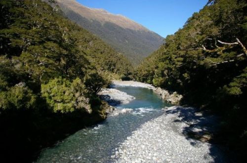 makarora-river-south-island-new-zealand