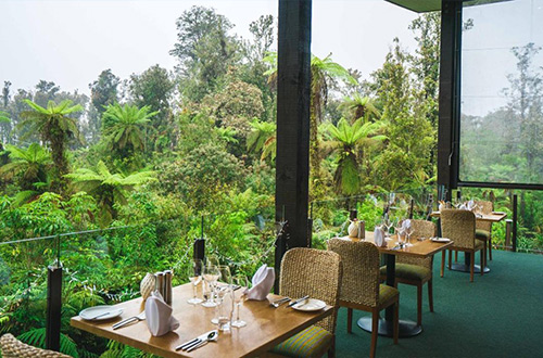 te-waonui-forest-retreat-waonui-new-zealand-dining