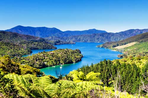 Queen-charlotte-track-great-walks-of-new-zealand