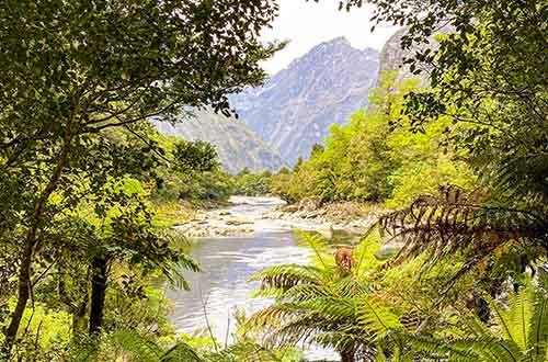 /milford-track-new-zealand