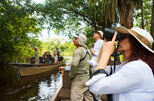 amazon-river-birdwatching