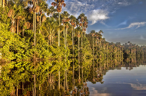 lake-sandoval