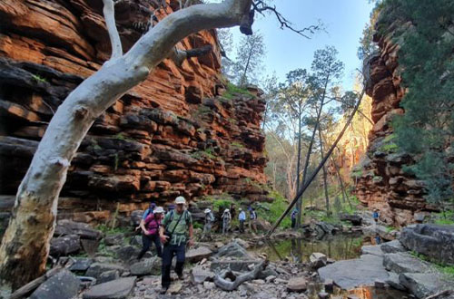 mr-remarkable-national-park-south-australia.