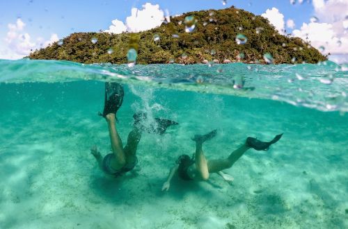 nuusafe-island-upolu-samoa-snorkel