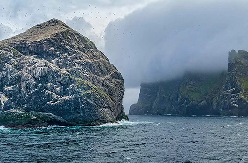 stac-lee-saint-kilda-bird-colony-scotland-united-kingdom