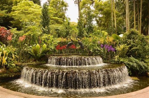 botanic-garden-fountain-singapore