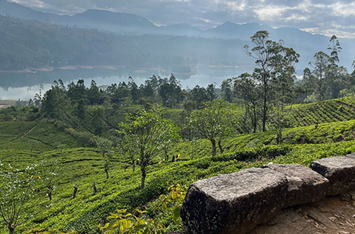 castlereagh-reservoir-hatton-sri-lanka