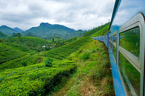 kandy-train