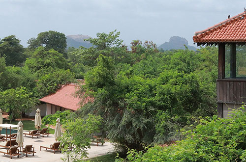 sigiriya-jungles-exterior