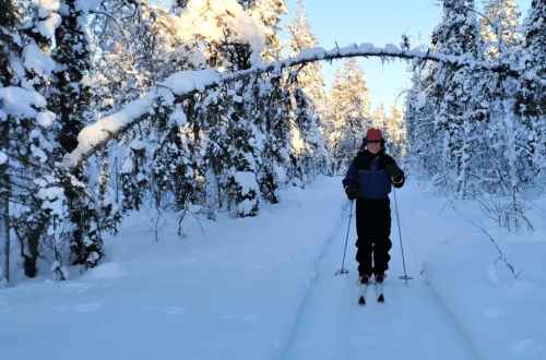 sweden-arctic-circle-snowshoeing-hiker-walking-on-the-snow
