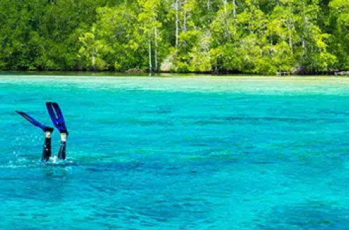 polllilo-island-man-snorkeling-water