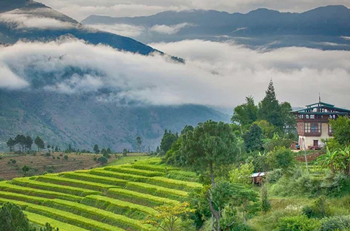 bhutan-community-temple-terraced