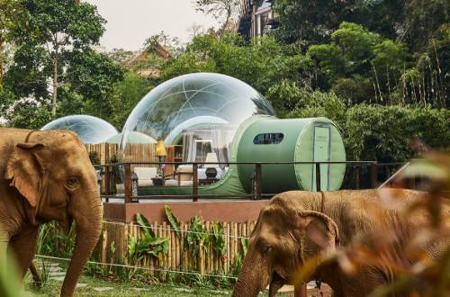 anantara-golden-triangle-elephant-camp-resort-exterior-view-elephants-bubble-tent-chiang-rai-thailand