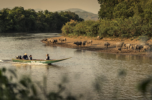 four-seasons-tented-camp-golden-triangle-chiang-rai-thailand-boat.