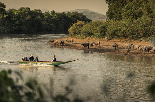 four-seasons-tented-camp-golden-triangle-chiang-rai-thailand-boat