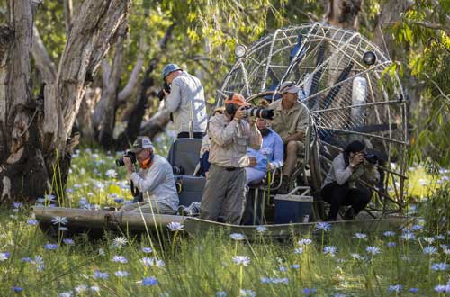 Flooded-Paperbark-Forest-airboat-safari-bamurru