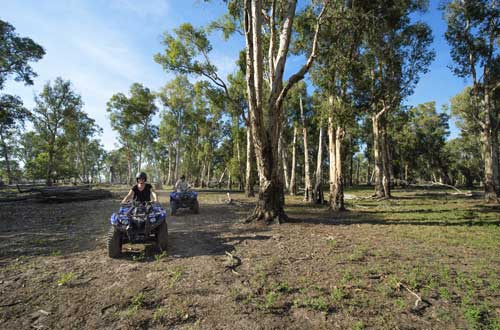 Quad-Bike-Adventure-bamurru