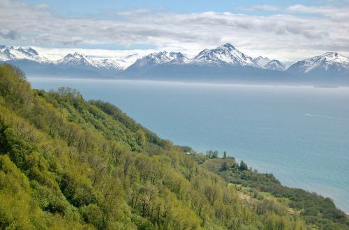 kachemak-bay-alaska-usa