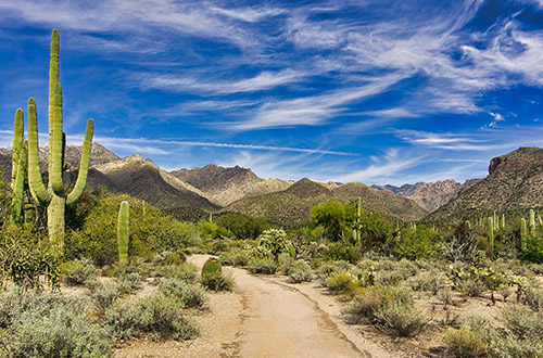 sabino-canyon