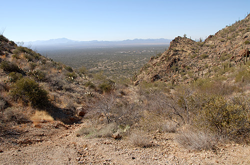 tucson-gate-pass