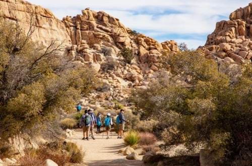 joshua-tree-group-hikers-california-usa-hiker